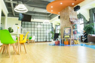 上德大象全國有多少家店？揭秘教育藝術領域的創業藍海與輝煌版圖