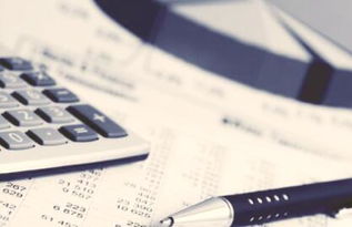 強(qiáng)化信息技術(shù) 提升管理會(huì)計(jì)效能 信息技術(shù)咨詢服務(wù)的關(guān)鍵作用