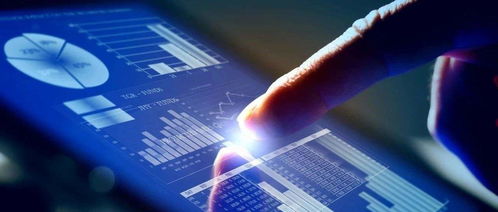 楊德龍 上半年我國經濟探底回升，下半年有望繼續復蘇，信息技術咨詢服務前景廣闊