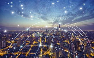 高中畢業(yè)學(xué)物聯(lián)網(wǎng)，信息技術(shù)咨詢服務(wù)中的新機(jī)遇